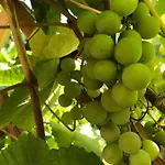 Homestay Domicil Alma Szklarska Poreba