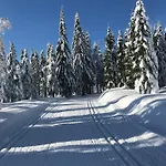 Domicil Alma