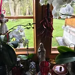 Domicil Alma Homestay Szklarska Poreba