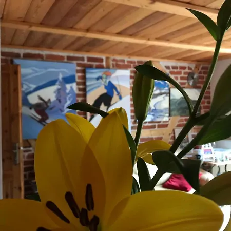 Domicil Alma Homestay *