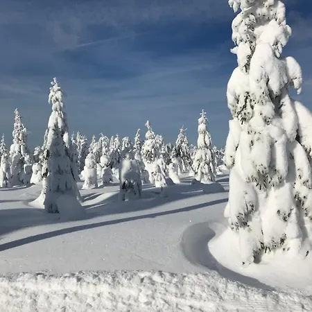 Homestay Domicil Alma *