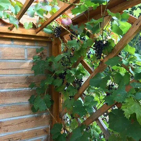 Domicil Alma * Szklarska Poreba