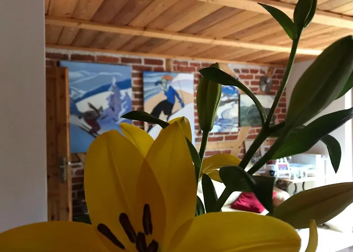 Domicil Alma Homestay *