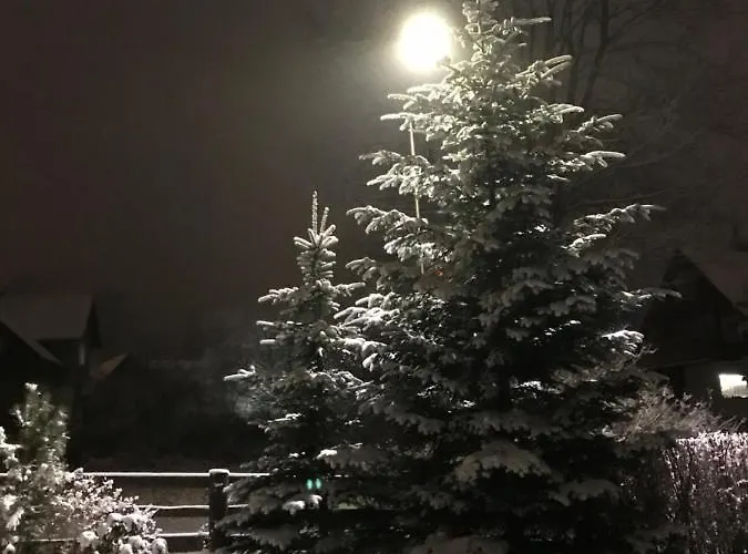 Homestay Domicil Alma *